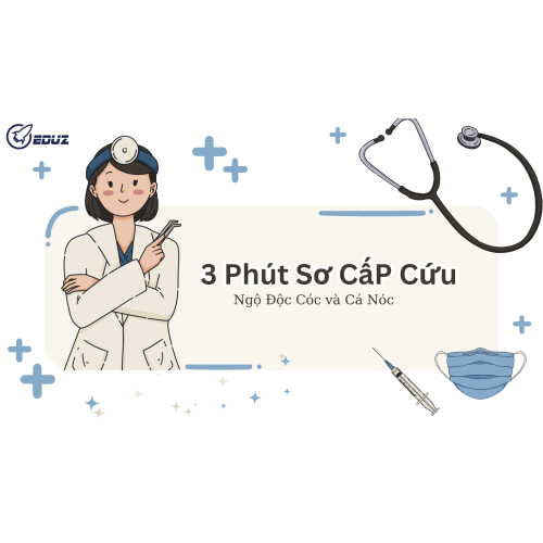 Sơ Cấp Cứu Bị Ngộ Độc Cá Nóc Và Cóc